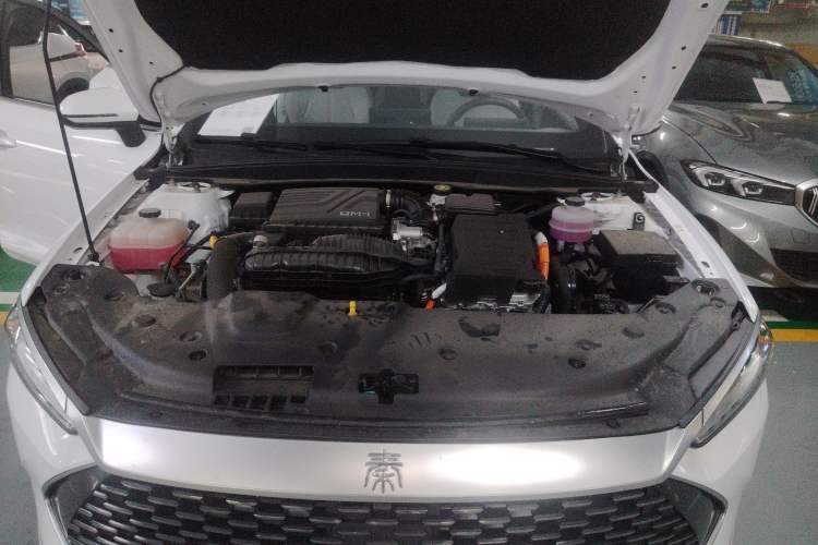 Used BYD Qin PLUS 2024 HONOR Edition DM-i 55KM Leading Model
