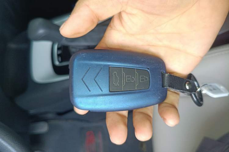 Used Toyota Levin 2019 185T CVT Luxury Edition China VI Standard