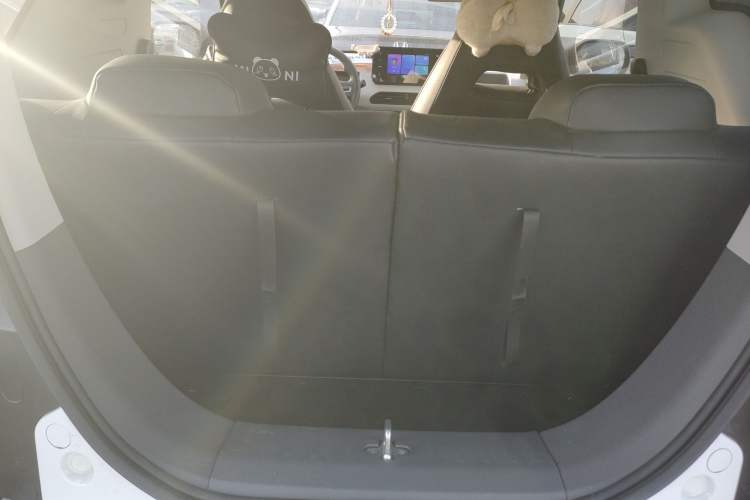 Used  Panda 2024 Panda Mini 200km Longteng PRO Edition
