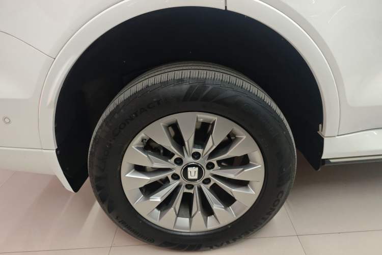 Used Tank 500 New Energy 2023 Hi4-T
