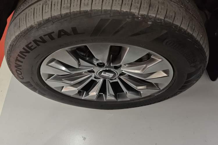 Used Tank 500 2022 3.0T Sport Edition "Creation" Version 5-Seater
