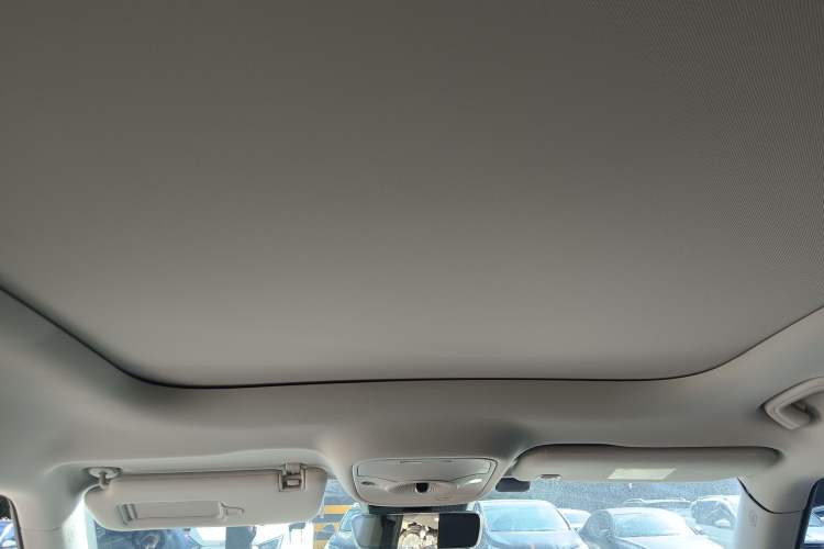 Used  #1 2023 Pro Edition
