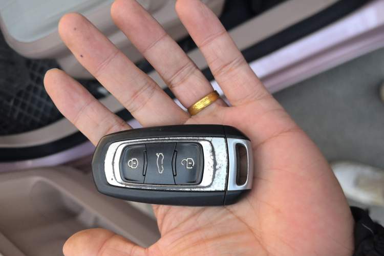 Used  Panda 2023 Panda Mini 200km Endurance Bear
