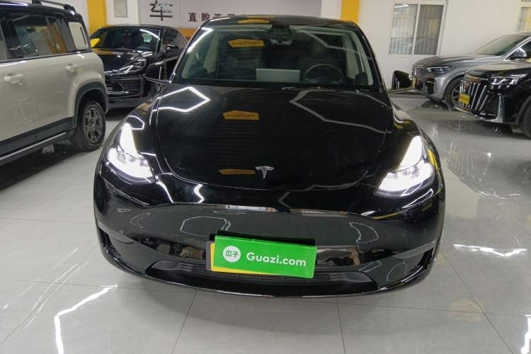 Used Tesla Model Y 2021 Standard Range Rear-Wheel Drive Version
