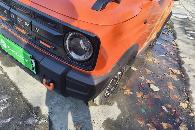 Used  Panda 2025 210km Panda Rider