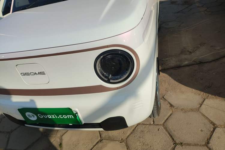 Used  Panda 2024 Panda Mini 200km Endurance Bear
