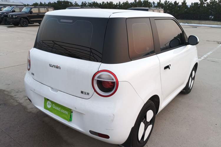 Used  Lumin 2025 301km Honey Dew Edition