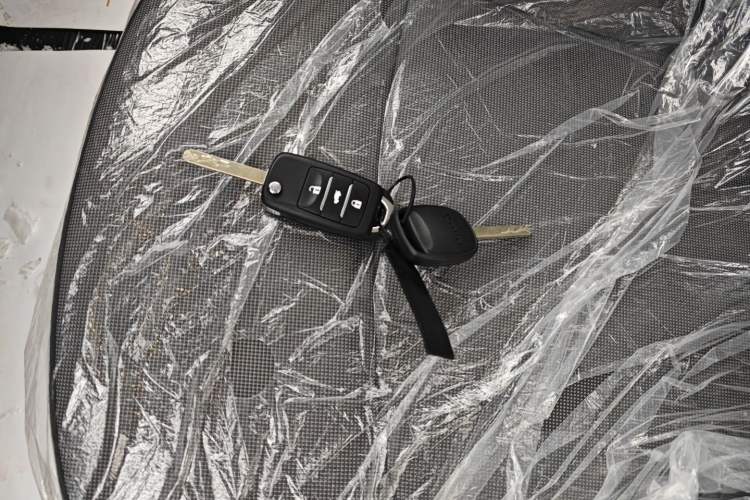 Used  Lumin 2025 205 km Xiangqin Version
