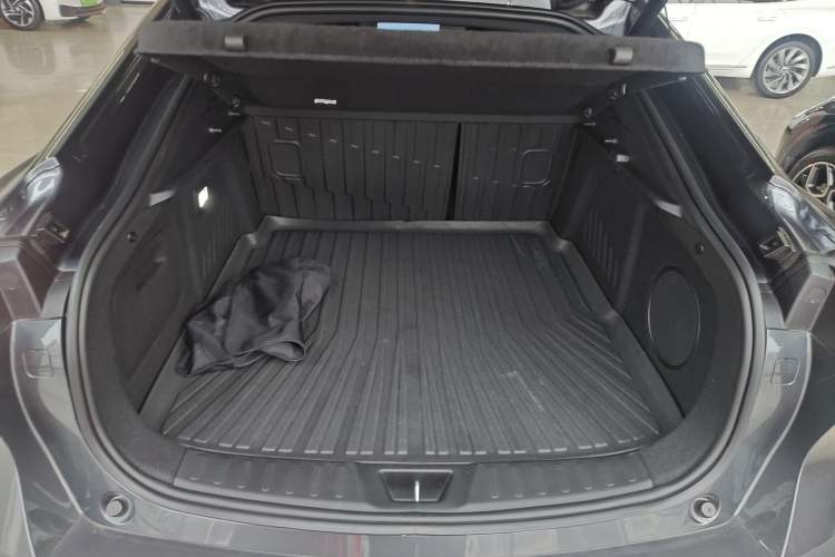 Used  L07 2024 230Max Range-Extended Version