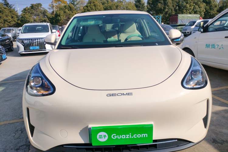 Used  Geome 2025 310km Youth Edition
