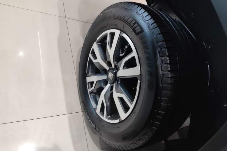 Used Tank 300 2024 2.0T Crosser