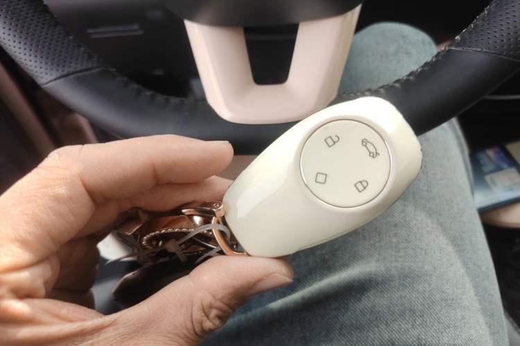 Used Leapmotor T03 2021 400 Lite Edition Lithium Iron Phosphate
