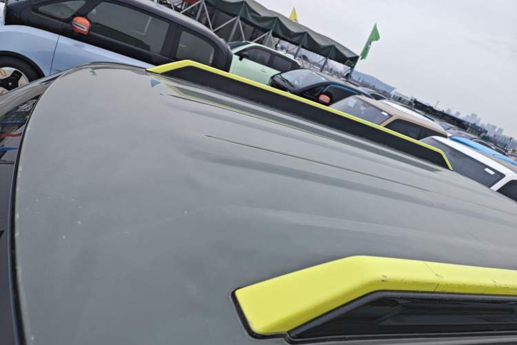 Used  Panda 2024 200km Panda Rider