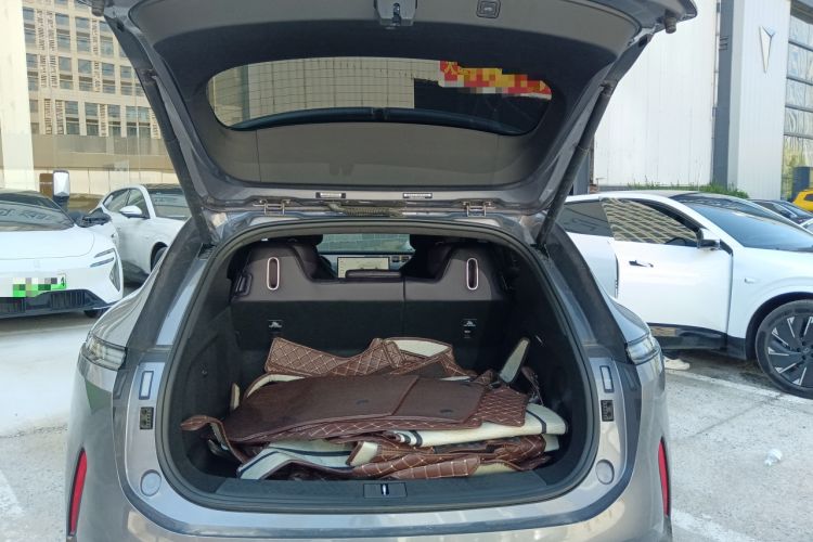 Used  07 2024 Max Extended-Range Edition
