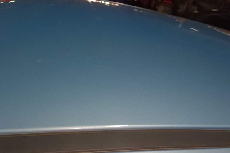 Used ORA Black Cat 2021 301 km Basic Version
