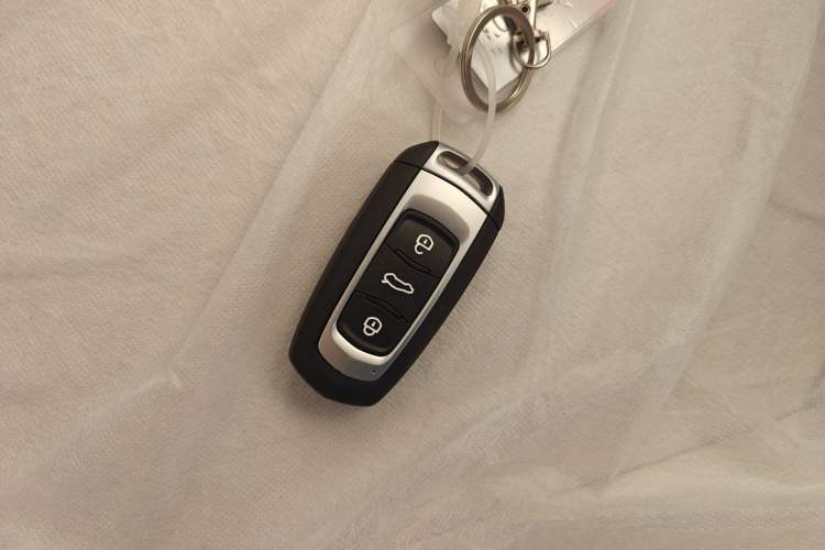 Used  Panda 2025 210 km – Yuanqi Bear