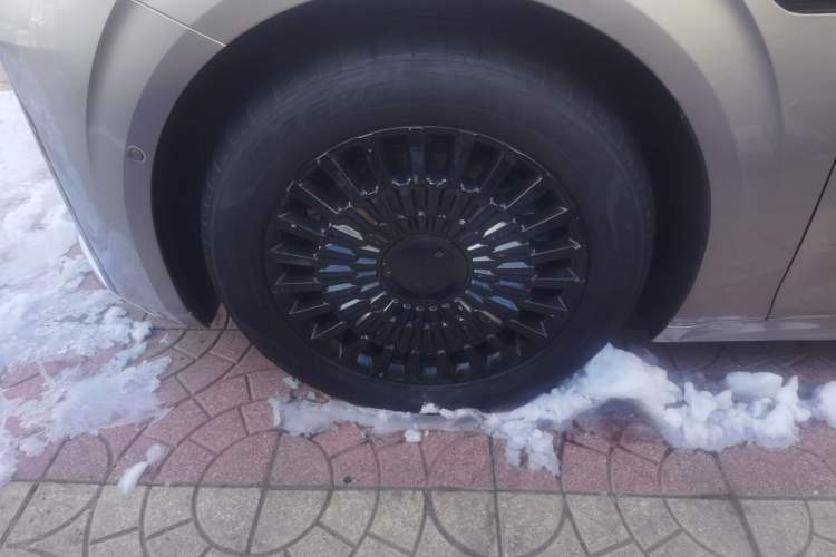 Used Zeekr 009 2022 WE Edition
