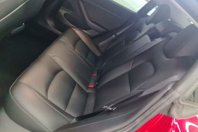 Used Tesla Model 3 2020 Revised Version Standard Range Rear-Wheel Drive – Upgraded Edition
