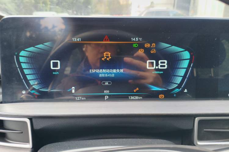 Used  Zhuifeng 2022 Chasing the Waves Edition 1.5T CVT Wind-Chasing Edition
