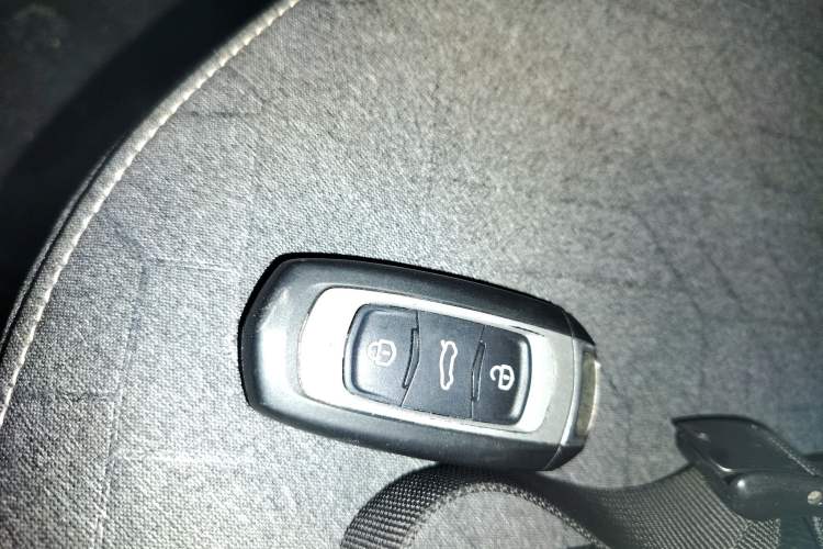 Used  Panda 2024 Panda Mini 200km Endurance Bear
