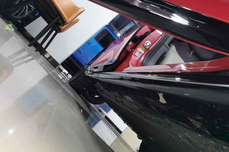 Used  06 2025 Ultra Pure Electric Edition
