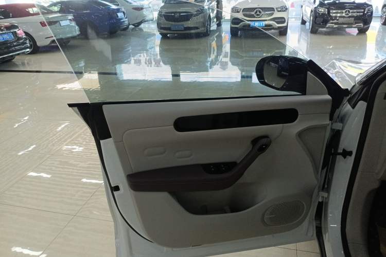 Used Leapmotor C11 2023 Pure Electric 500 Comfort Edition
