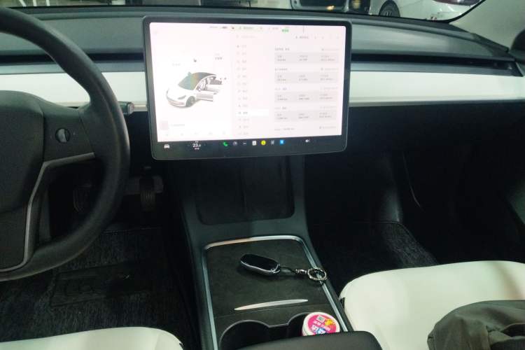 Used Tesla Model 3 2020 Revised Version Standard Range Rear-Wheel Drive – Upgraded Edition
