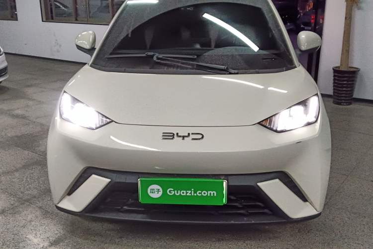 Used BYD Seagull 2023 Free Edition
