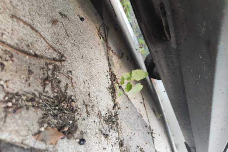 Used Porsche Macan 2017 Macan S 3.0T
