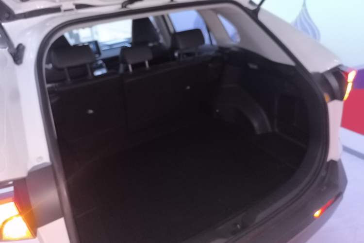 Used Toyota RAV4 2020 2.0L CVT Two-Wheel Drive Fashion PLUS Edition
