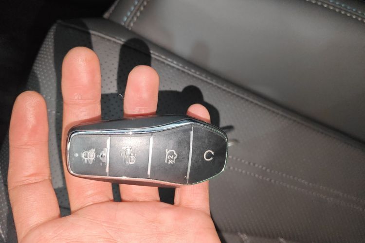 Used BYD Tang New Energy 2025 Intelligent Driving Version DM-i 115KM Flagship Edition
