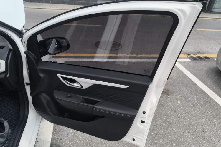 Used SOL E10X 2022 Flower Fairy Style Baby's Breath
