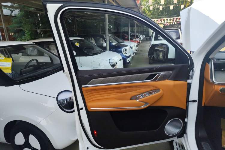 Used Tank 500 New Energy 2025 Hi4-Z