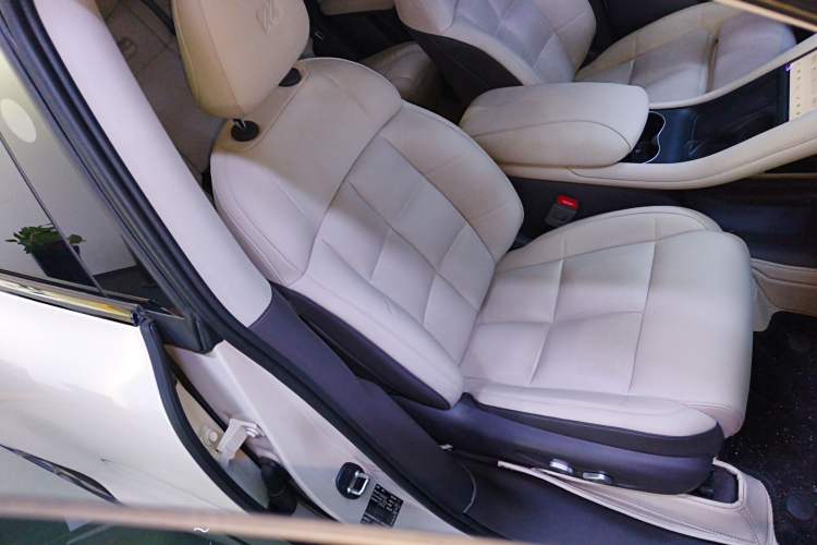 Used  LS6 2023 Max Long-Range Version
