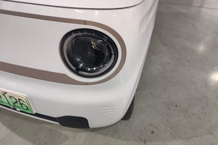 Used  Panda 2023 Panda Mini 200km Endurance Bear
