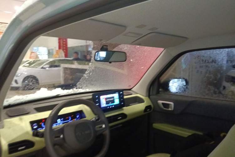 Used  Panda 2023 Panda Mini 200km Endurance Bear
