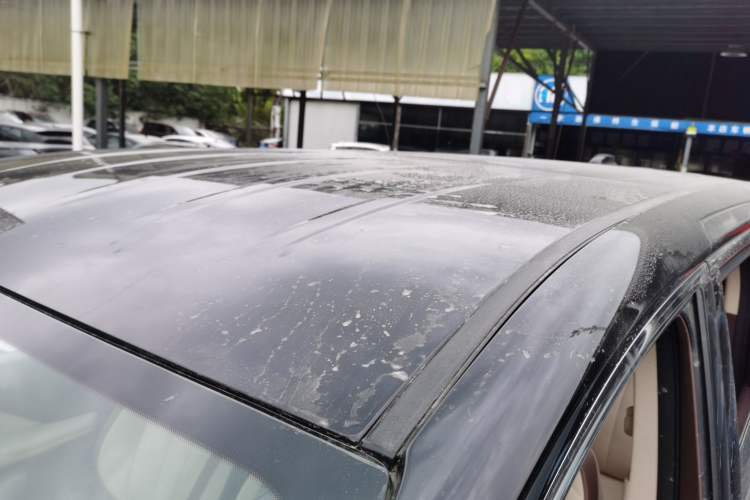 Used Hongqi HQ9 2024 2.0T Business Edition