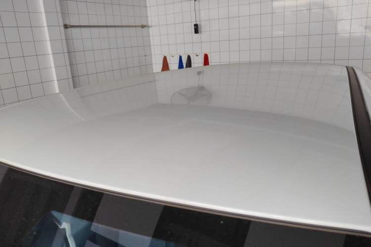 Used  Lumin 2025 301km Honey Dew Edition