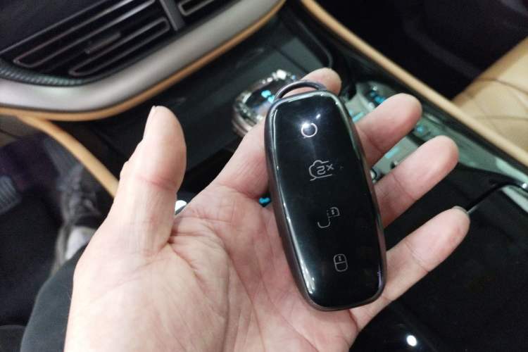 Used Denza D9 2022 DM-i 1040 Prestige Model