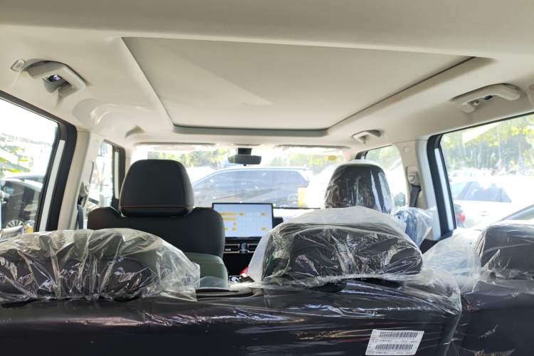 Used  03 2024 501km Two-Wheel Drive Long-Range Version