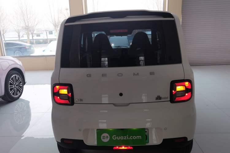 Used  Panda 2025 210 km – Yuanqi Bear
