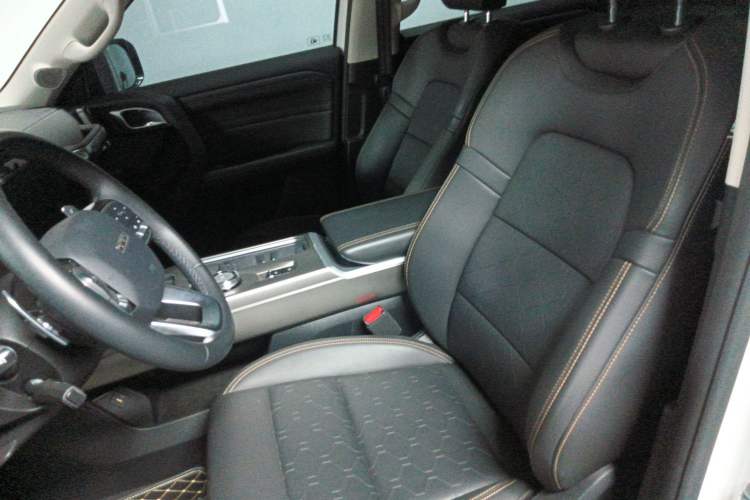 Used Haval DARGO 2024 2.0T DCT Chinese Rural Dog Edition
