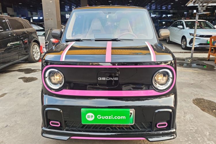 Used  Panda 2024 200km Panda Kart
