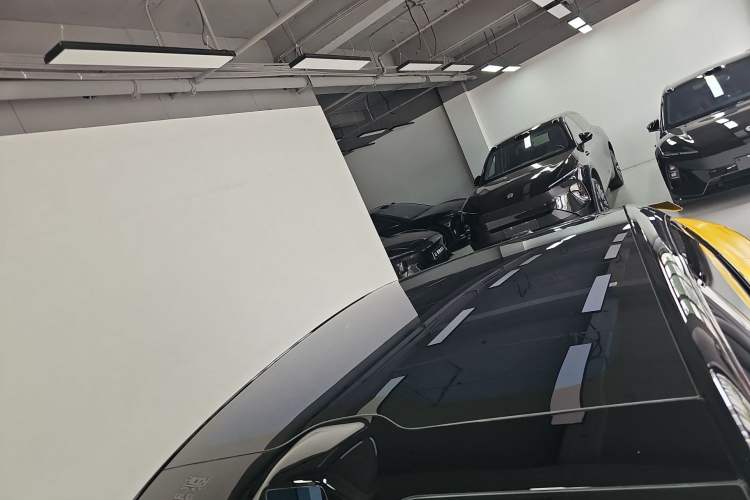 Used  06 2025 Ultra Pure Electric Edition
