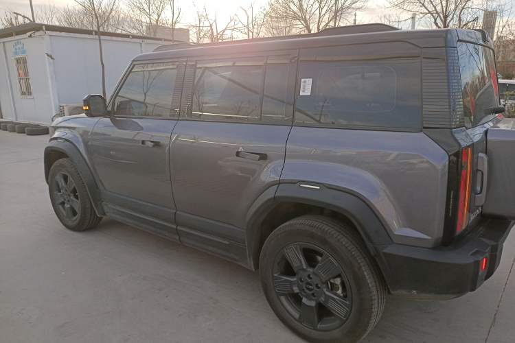 Used  03 2024 501km Two-Wheel Drive Long-Range Version
