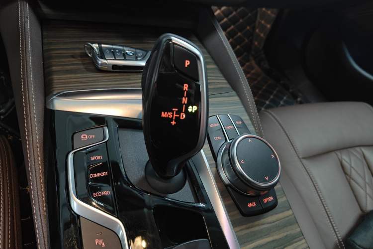 Used BMW 5 Series 2019 530Li Leading Model Luxury Package