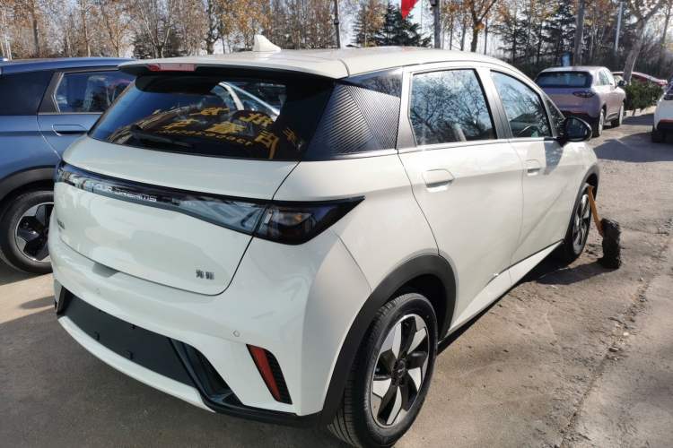 Used BYD Dolphin 2025 420km Free Edition
