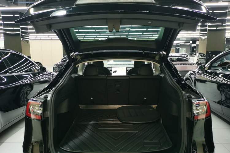 Used Tesla Model Y 2021 Standard Range Rear-Wheel Drive Version