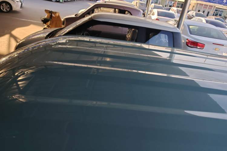 Used  Panda 2024 Panda Mini 200km Endurance Bear