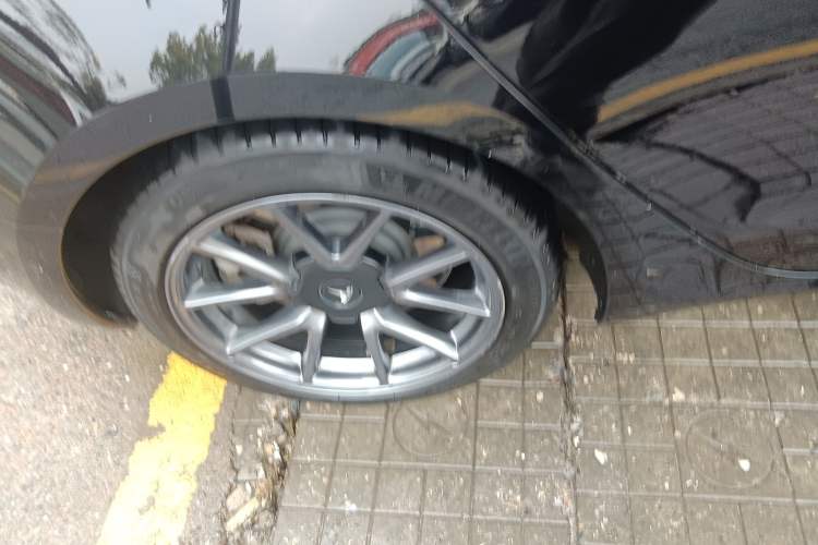 Used Tesla Model 3 2021 Standard Range Rear-Wheel Drive Upgraded Version 3D6
